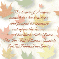 *~LoT AWARDS PAGE at 'THE SITE FIGHTS