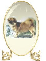 Ch Gin-Tai Chatawa Peter Punkin,TT, CGC..Owner/Handled by Ann Terry, Bred by Kathryn E. Phillips of Gin-Tai!