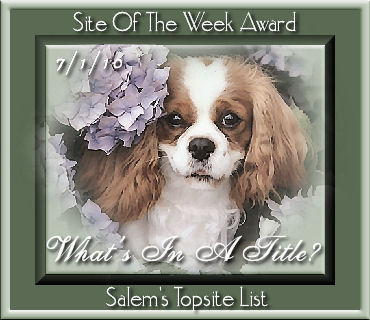 Thanks for the beautiful award, SALEM