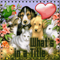 Thanks to 'The Wild Frontier', for this lovely graphic!